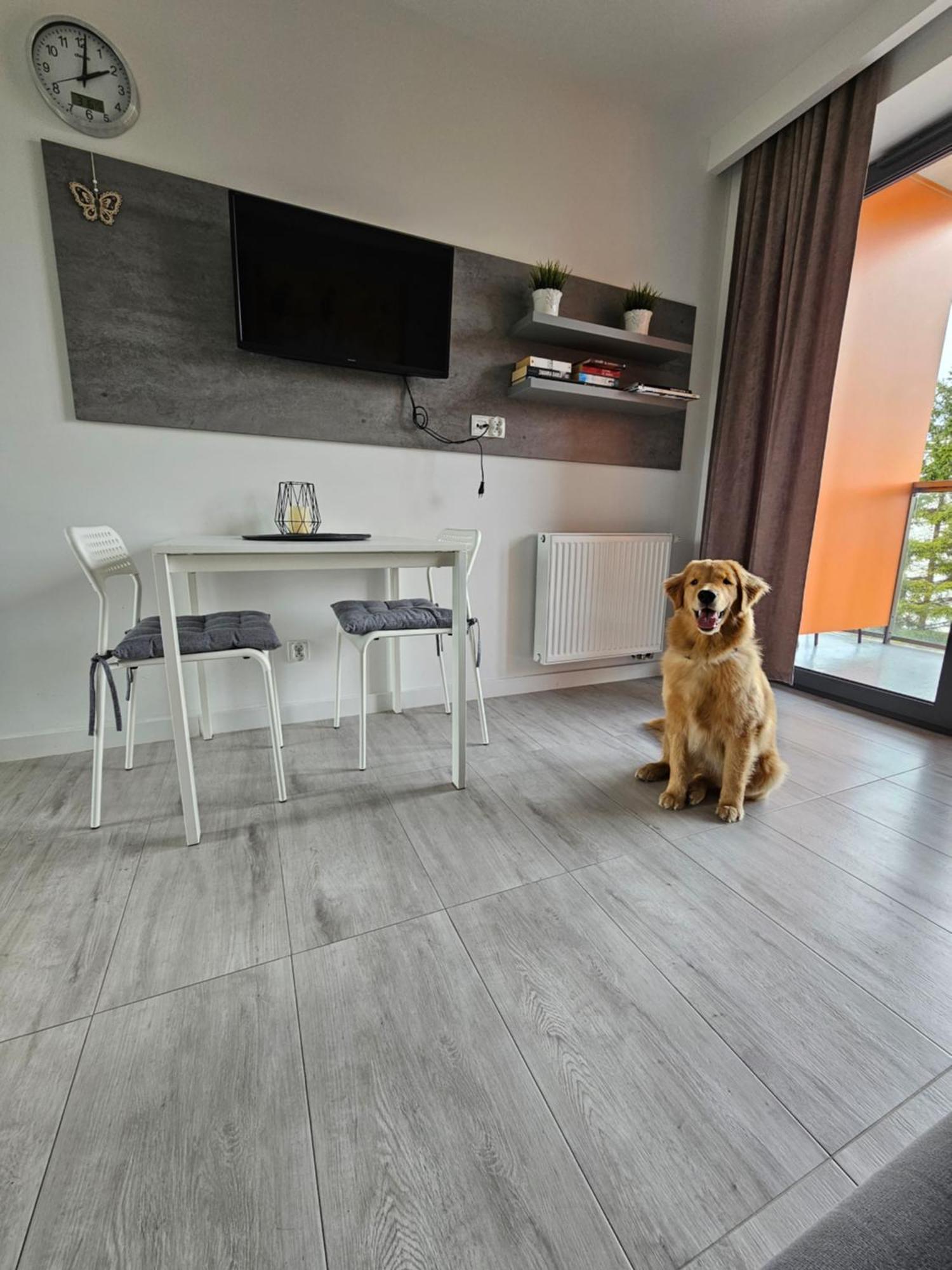 Apartament B106 - Residence Jastrzębia Góra Exteriér fotografie